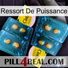 Power Spring cialis5